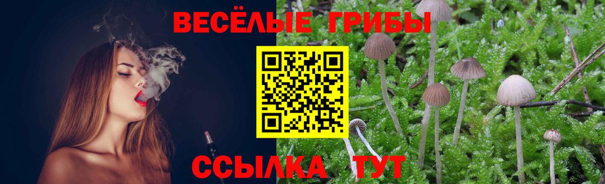 Семёнов  Галлюциногенные грибы Magic Shrooms  Вход с VPN 