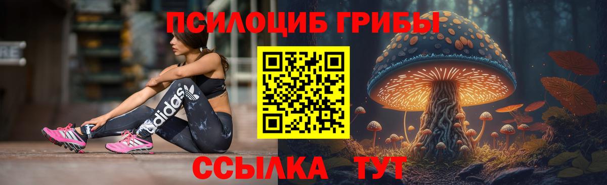 Псилоцибиновые грибы Psilocybine cubensis Семёнов